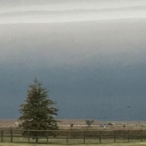 Meet your Posher, Shawn